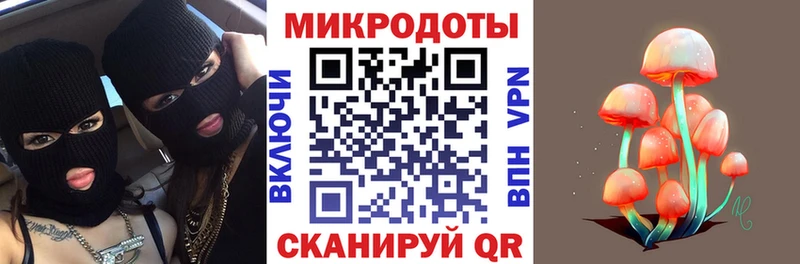 Галлюциногенные грибы Psilocybine cubensis  Анапа 