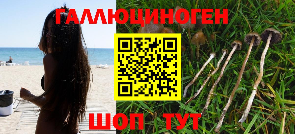 Псилоцибиновые грибы Cubensis  Вход с VPN  Анапа  наркошоп  Псилоцибиновые грибы ЛСД 