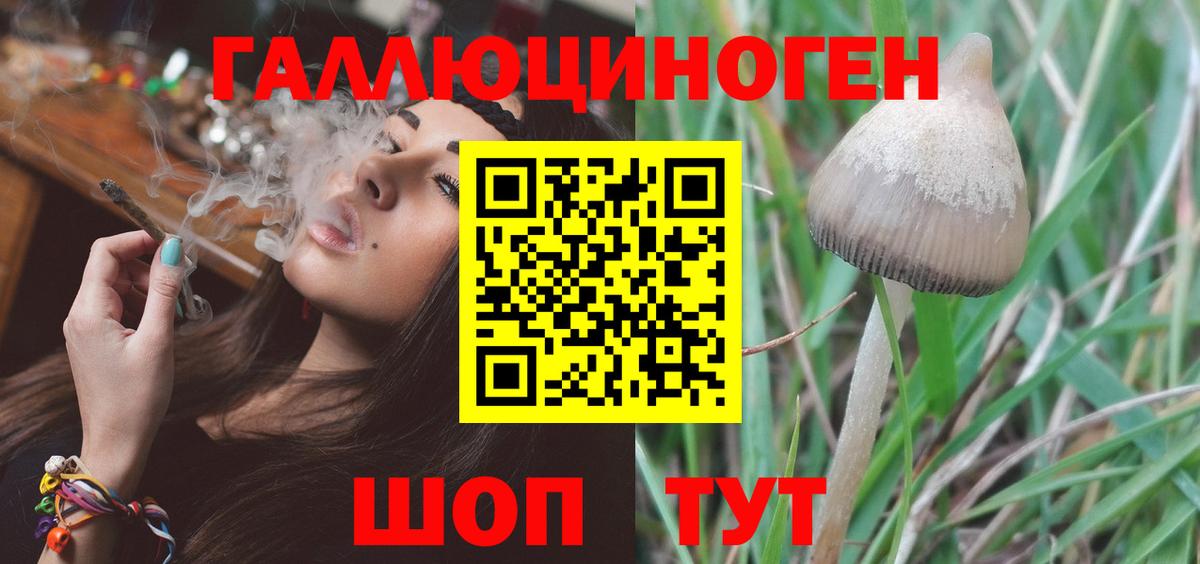 Галлюциногенные грибы прущие грибы Анапа